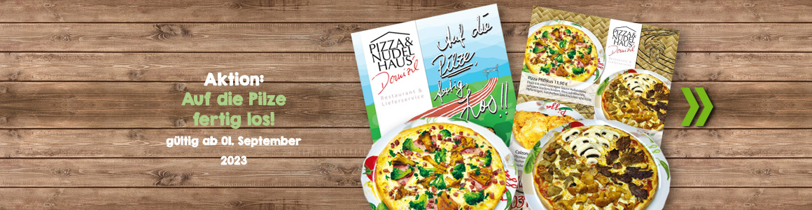 Neue Aktion Pizza Domizil